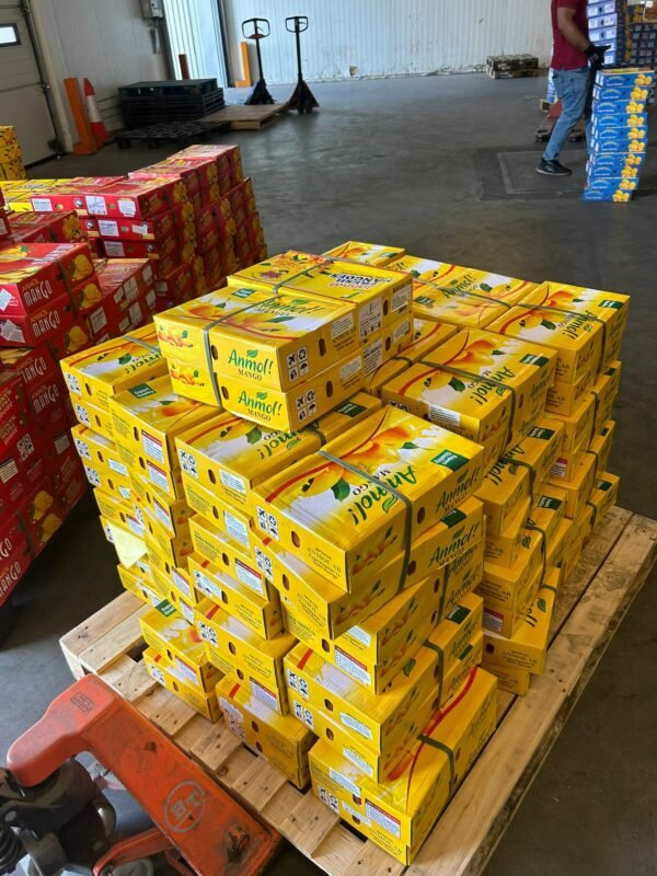 Anmol Mango