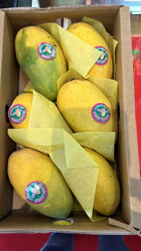 Pakistani Mango King of Fruits