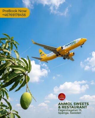 Anmol Mango prebook now