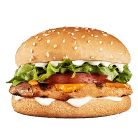 Shami Tikki Burger